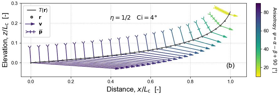 anisotropy